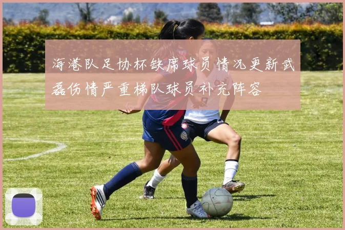 海港队足协杯缺席球员情况更新武磊伤情严重梯队球员补充阵容