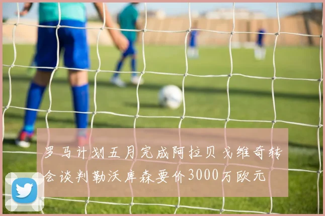 罗马计划五月完成阿拉贝戈维奇转会谈判勒沃库森要价3000万欧元