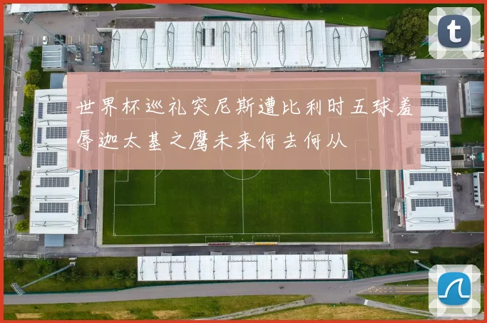 世界杯巡礼突尼斯遭比利时五球羞辱迦太基之鹰未来何去何从